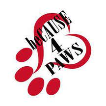 Because 4 Paws logo